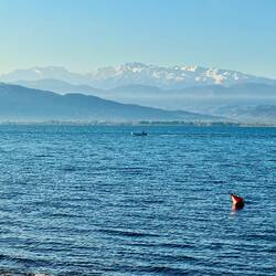 Prost Neujahr! Mein Blick aus dem Fenster!