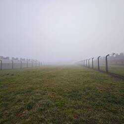 Auschwitz