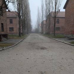 Baracken KZ-Auschwitz