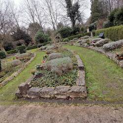 Grüner Rasen mal anders