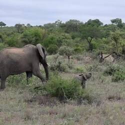 One way of applying sun screen.