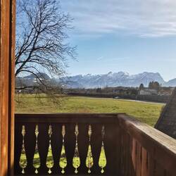 🤍