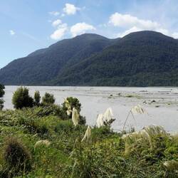 Haast river