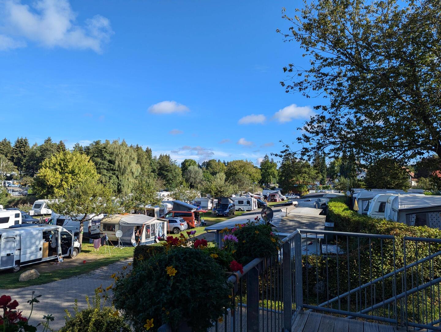 Campingplatz Gitzerhof - Frida findet man immer zwischen all den Joghurt Bechern
