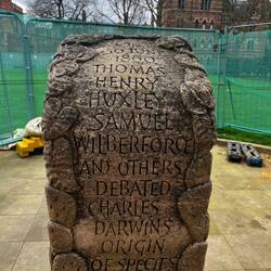 Out from of the Museum of Natural Sciences (see next footprint)