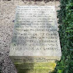 Penicillin recognition