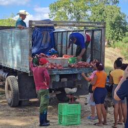 Fleischverkauf vom LKW