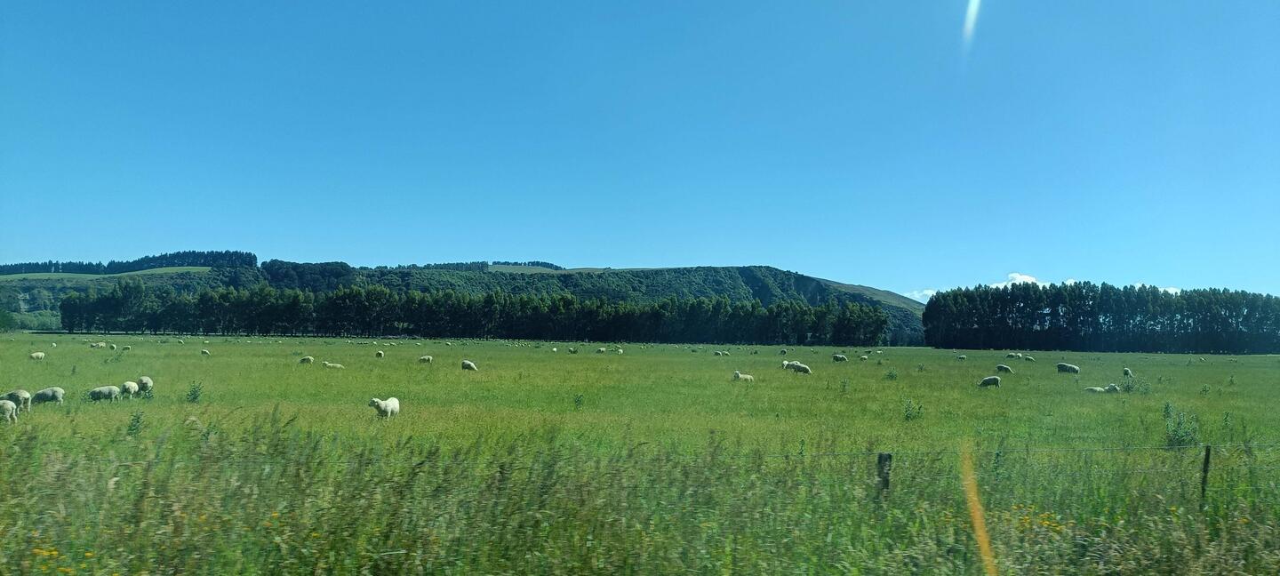 Photos prises en roulant