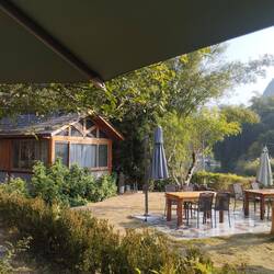 A view of our garden room where Ann spent a good part of the day getting better.