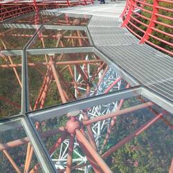 The structure and forest below - quite an engineering feat.