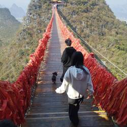 View once I crossed of others including their doggy doing it clockwise.