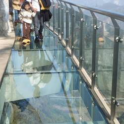 Some others on the walk.