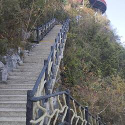 At this point I counted another 195 steps to the top after climbing at least another 795!