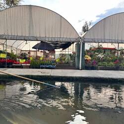 Vereinzelt wird tatsächlich an den Kanälen noch angebaut