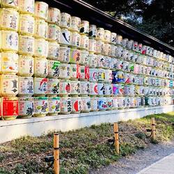 meiji jingu barrels