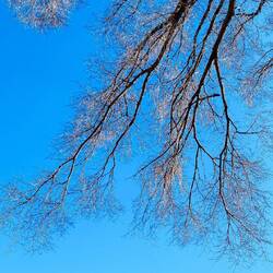shinjuku gyoen national garden