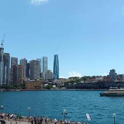 Sur les marches de l'opéra