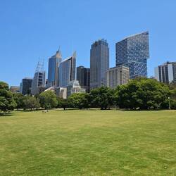 Depuis les jardin, vue sur le quartier des affaires