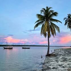 Mafia Island