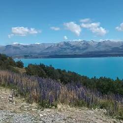 Lake Pukaki