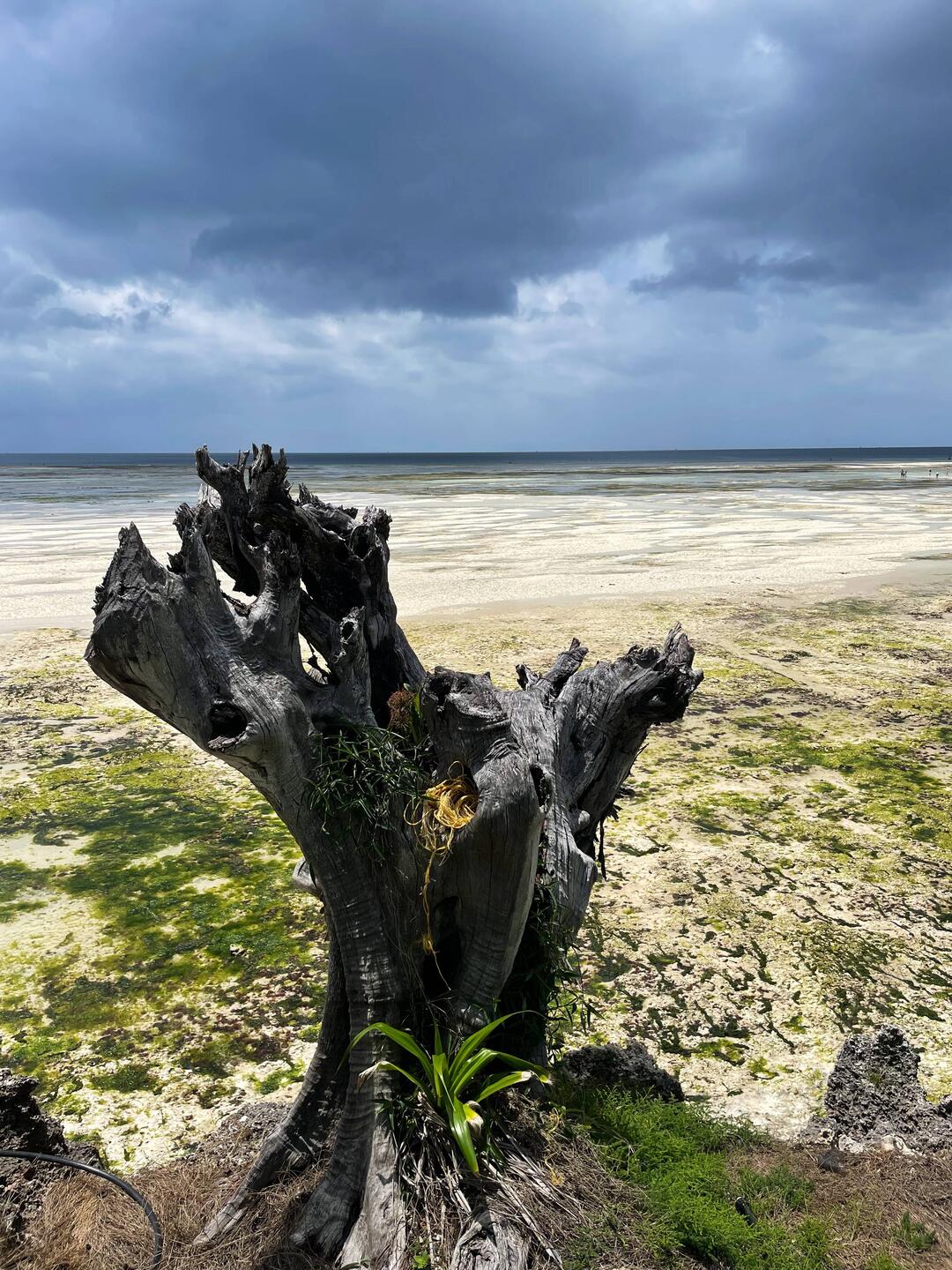 die Aussicht vom Frühstückstisch auf die Menay Bay