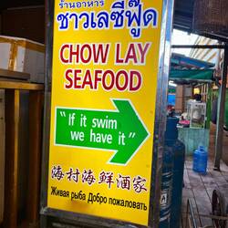 🤣 🐠 🏊‍♀️