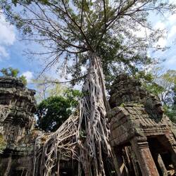 Ta Prohm
