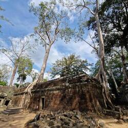 Ta Prohm