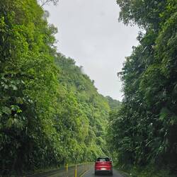 Auf dem Heimweg nach San José