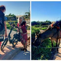 De Engelsen met de muilezel