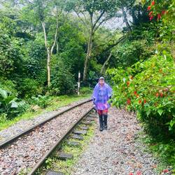 Alles den Gleisen entlang bis Aguas Calientes