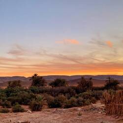 Abendstimmung in der Oase