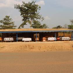 Särge auf dem Weg zurück...