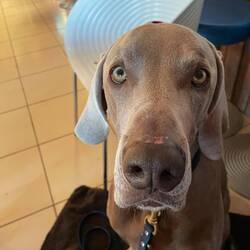 Das Essen ist schrecklich 😞