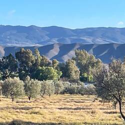 unser heutiger Stellplatz