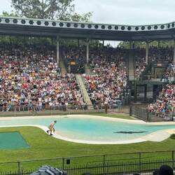 Das Crocoseum hat 5'000 Plätze...
