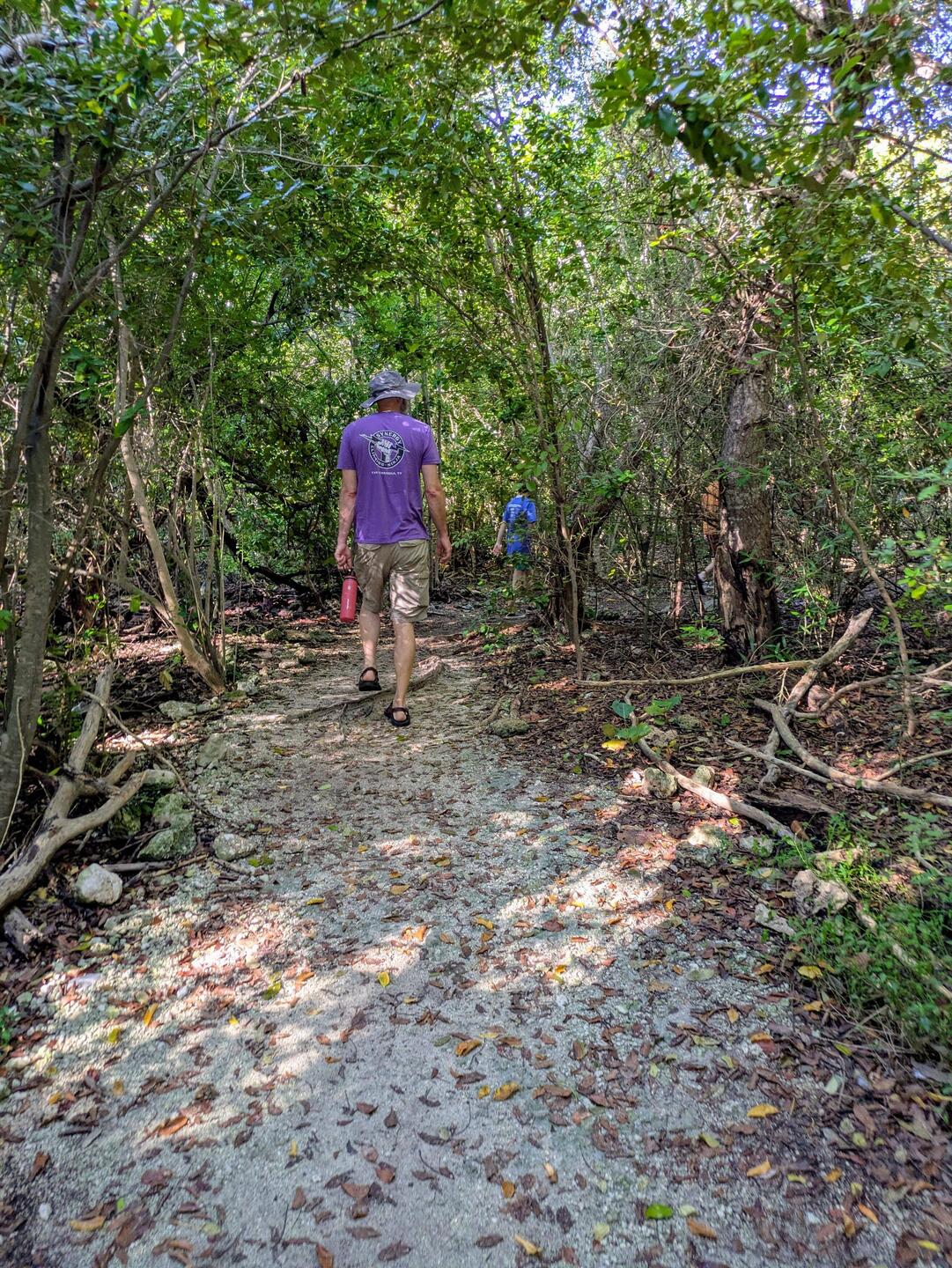 Always up for a walk in the woods esp. one named "Tropical Hammock Trail"
