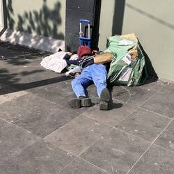 Noch geschafft vom nächtlichen Sammeln