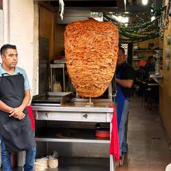 Prachtexemplar - entweder Hühner oder Schweinefleisch, nicht geschaut