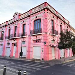 Schön rosa ist auch schön