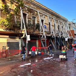 Antiquität überwuchert und gestützt