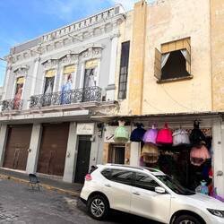 Die laufen mir jetzt nach ...