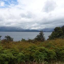 Lake Te Anau