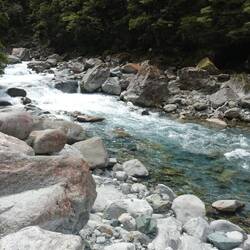 Hollyford River