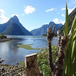 Milford Sound