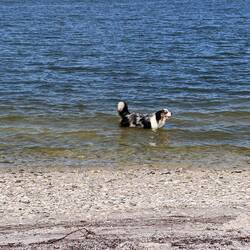 The water's fine!