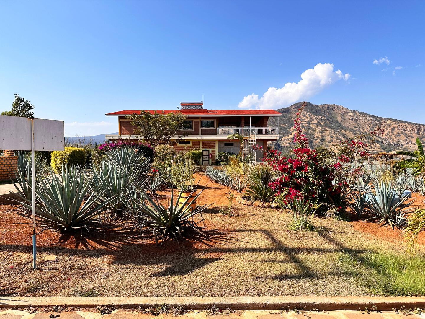 Kleines Wohnhaus, hinten ein alter Vulkan - rundherum sind unterschiedlich alte Agavenpflanzungen