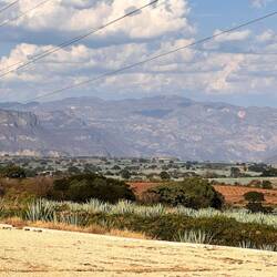 Ausblick in die Ebene, ein Feld am Anderen