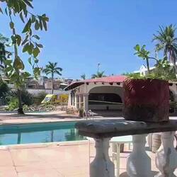 Das Video ist zu schnell um Verfallsdetails zu sehen - die Pflanzen machen einen besseren Eindruck