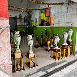 Die wunderbarsten Shops für Pokale und Auszeichnungen - echt gut!